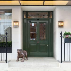 伦敦Holmes Hotel London的青铜狗雕像,在绿门前