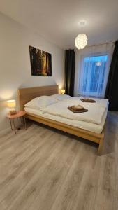 布拉迪斯拉发2 room Apartment with terrace, new building, 3BK的一间卧室设有一张大床和一个窗户。