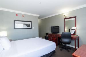 雷德迪尔雷德迪尔桑德曼酒店的酒店客房配有一张床、一张书桌和一台电视。