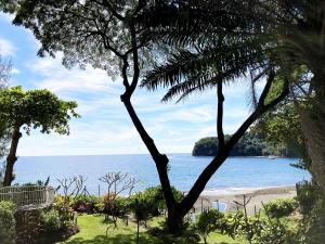 阿鲁埃Tahiti Lafayette Beach Lodge的棕榈树海滩美景