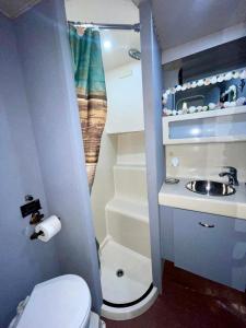 基拉戈Nice Boat in Key Largo的一间带卫生间和水槽的小浴室