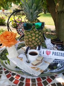 PaszabDura Vendégház的一张桌子,上面有 ⁇ 萝,戴着太阳镜,还有一杯咖啡
