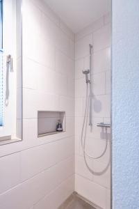 阿彭策尔Wohnung Pulverturm的白色的浴室设有玻璃门淋浴