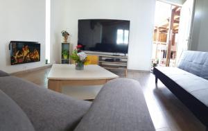 勒唐蓬Le tibouchina的带沙发、桌子和电视的客厅