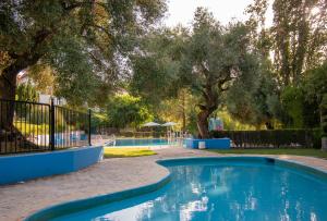 普拉多德尔雷Hotel del Carmen的一座树木繁茂的庭院内的游泳池