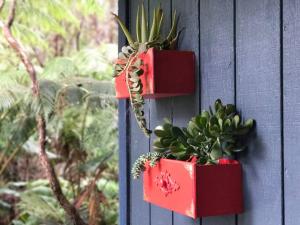 沃尔卡诺Puolani Iki-Sweet lil cottage near National Park的墙上两个红色的箱子,上面有植物