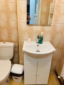 上维谢乌David Residence的一间带卫生间、水槽和镜子的浴室