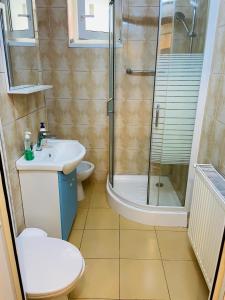 上维谢乌David Residence的带淋浴、卫生间和盥洗盆的浴室