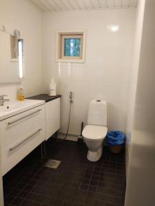 图尔库Cottage by the sea的白色的浴室设有卫生间和水槽。