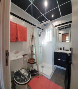 维琪奥港Studio de charme à 300 m de la Plage de Santa Giulia的带淋浴、卫生间和盥洗盆的浴室