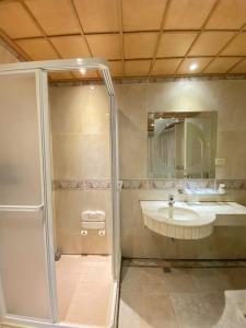 高雄艾萊商務汽車旅館的带淋浴和盥洗盆的浴室