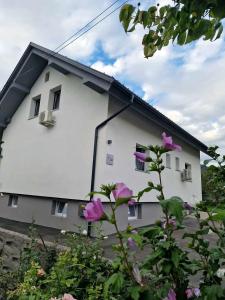 ŽirovnicaAparthouse Jana Breg的白色房子前面有紫色的花