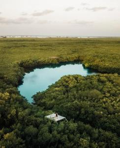 图卢姆Uman Glamping & Cenote Tulum的站在水塘中的小岛上的人