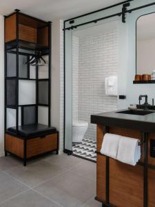 奥斯汀Tommie Austin, JDV by Hyatt的一间带水槽、卫生间和镜子的浴室