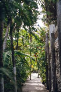 图卢姆Uman Glamping & Cenote Tulum的穿过种有树木和鲜花的花园的小路