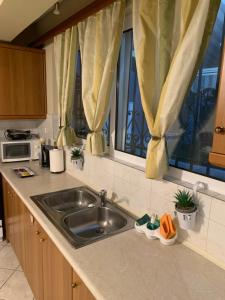 雅典Elegant Escapes 3的带水槽的厨房台面和窗户