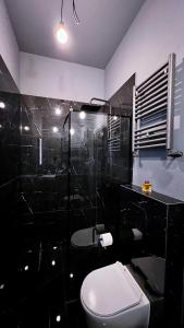 罗兹BDSM Red Room Apartment的黑白浴室设有卫生间和淋浴。