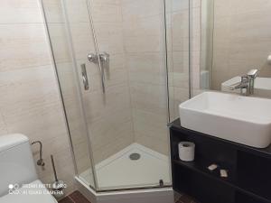 苏莱胡夫HOTEL ODR的带淋浴、水槽和卫生间的浴室