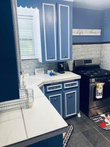 塔尔萨Xscapecation Oasis的厨房配有蓝色橱柜和炉灶。