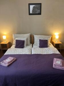 德辛朋克御碑亭位酒店的一间卧室配有两张带紫色床单和两盏灯的床。