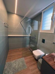 哈尔基斯Elia Luxury Residence的一间带玻璃淋浴和卫生间的浴室