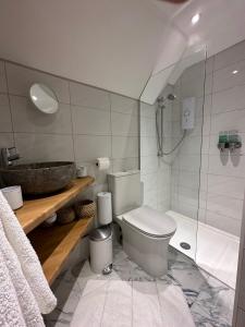 旺塔奇Thatchcombe B&B的浴室配有卫生间、盥洗盆和淋浴。