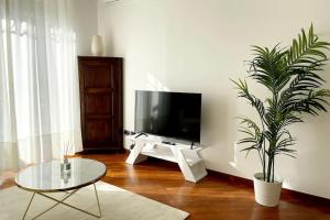 米兰Amazing Flat with Terrace的一间配有电视和盆栽植物的客厅