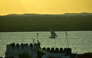 拉穆JamboHouse Lamu的日落时分在水中航行的帆船