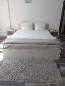 图尔恰Dana Studio的卧室配有白色的床和地毯。