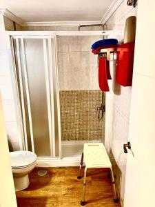 马拉加Ana's Apartment parking gratuito的带淋浴和卫生间的小浴室