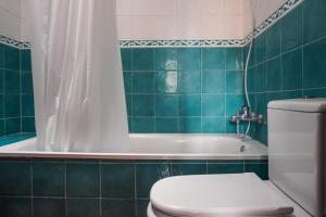 拉拉古纳Cozy Apartment in La Laguna的一间带卫生间和浴缸的浴室