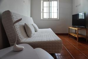 拉拉古纳Cozy Apartment in La Laguna的带沙发和电视的客厅