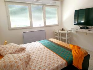 布隆Bron centre appartement meublé avec jacuzzi的一间卧室配有一张床和一台平面电视