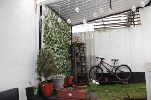 昆卡Casa en Cuenca的停放在种植了植物的车库下的自行车