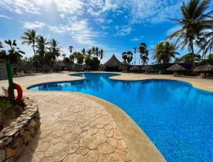埃尔阿瓜赫斯珀里亚普拉亚艾尔阿瓜酒店的棕榈树度假村的游泳池