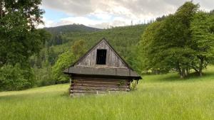 科尔别卢夫Dom Wypoczynkowy Pod Polanką的旧小屋,位于草地上