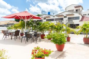 科罗萨尔Hotel Corozal Plaza的一个带桌椅和植物的庭院