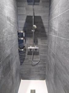 贝勒加德Villa de la Tour的带淋浴和卫生间的浴室