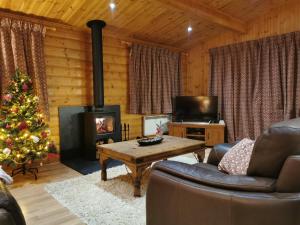 劳斯Fern Lodge的客厅配有圣诞树和壁炉