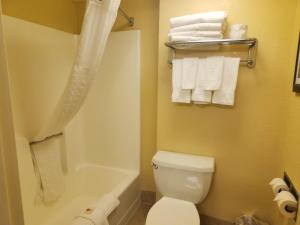 赫尔希Comfort Inn at the Park Hershey的浴室配有卫生间、浴缸和毛巾。