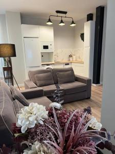 萨拉戈萨Precioso y céntrico apartamento的带沙发的客厅和厨房