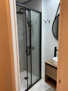 萨拉戈萨Precioso y céntrico apartamento的一个带水槽的玻璃淋浴间