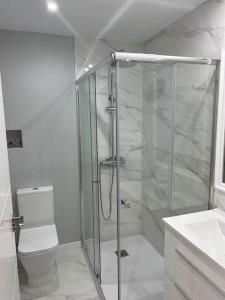 萨拉戈萨Precioso y céntrico apartamento的带淋浴和卫生间的浴室