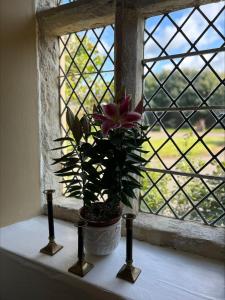 怀特黑Moresby Hall Country House Hotel的花瓶里坐在窗台上的花