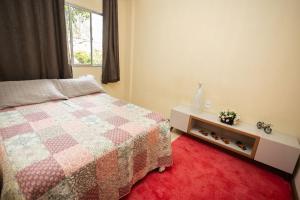 圣特雷莎Loft com Wi-Fi e otima localizacao-Santa Teresa ES的一间卧室配有一张床,铺有红色地毯