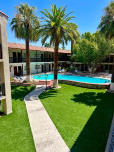 埃莫西约布吉姆比利亚酒店的一个带棕榈树和游泳池的庭院