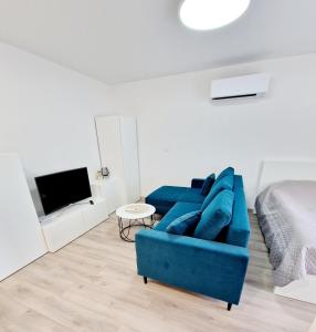 拉兹迪亚伊Apartments in Lazdijai的客厅配有蓝色的沙发和床。