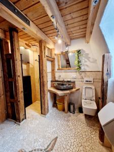 多瑙艾辛根Wood & Stone Lodge 3的一间带水槽和卫生间的浴室