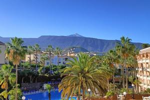 拉克鲁斯Hotel Puerto Palace的享有棕榈树和山脉的城市美景