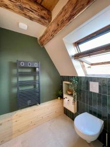 巴尔L'Eden du Vignoble - Centre historique de Barr的一间带卫生间和绿色墙壁的浴室